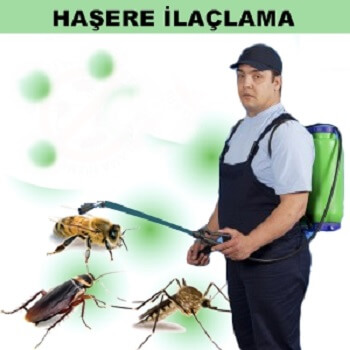 Sarıyahşi Böcek İlaçlama
